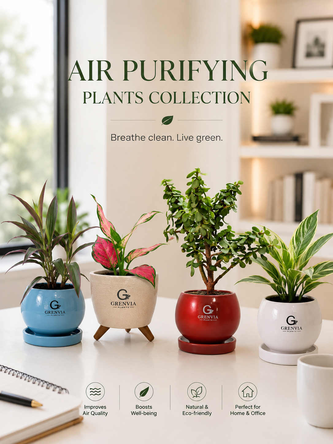 Air Purifying Plants